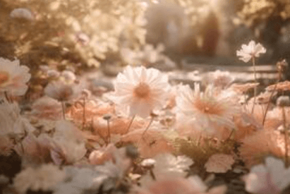 Aesthetic:Fg717absbvw= Flower