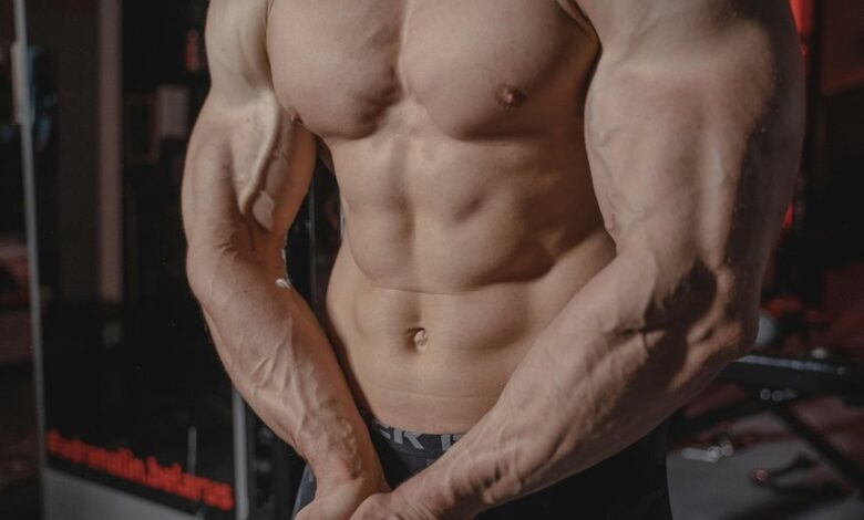 adit bsl flex model