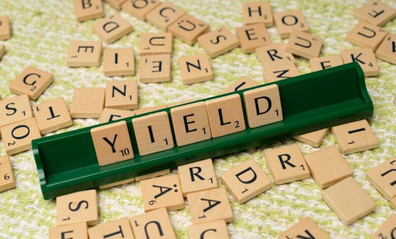 dividends yielding investment group